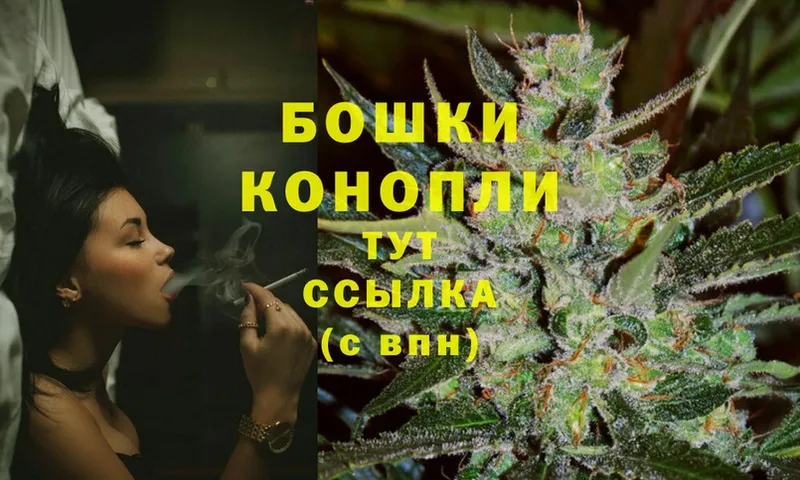 МАРИХУАНА SATIVA & INDICA  Ивдель 